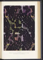 Picture 13 of 13 from Dress, Blouse, and Costume Cloths, Design and Fabric Manufacture (1921), leaf 48