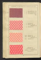 An illustration from Wolldruck (1912)