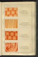 An illustration from Wolldruck (1912)