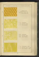 Picture 24 of 62 from Wolldruck (1912), leaf 31