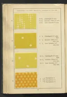 Picture 25 of 62 from Wolldruck (1912), leaf 32