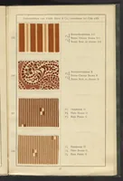 Picture 58 of 62 from Wolldruck (1912), leaf 65