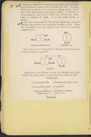 Picture 3 of 7 from The Seven Food Colors (1907), leaf 40