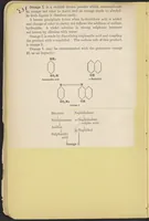 Picture 4 of 7 from The Seven Food Colors (1907), leaf 46