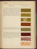 Picture 17 of 24 from The Coal Tar Colours of the Farbwerke vorm. Meister Lucius & Brüning, Höchst on the Main, Germany (1896), leaf 45