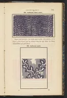 Picture 5 of 11 from Traité Théorique et Pratique de l'Impression des Tissus, Vol. 2 (1846), leaf 31