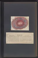 Picture 9 of 22 from Der Bildungstrieb der Stoffe (1858), leaf 15