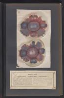 An illustration from Der Bildungstrieb der Stoffe (1858)