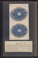 Picture 11 of 22 from Der Bildungstrieb der Stoffe (1858), leaf 19