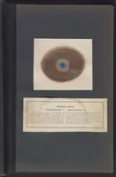 Picture 5 of 22 from Der Bildungstrieb der Stoffe (1858), leaf 7