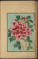 An illustration from Senshokuhō : Shinhatsumei jitchi keiken (1887)