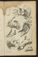 An illustration from Polygraphice, or, the Arts of Drawing, Engraving, Etching, Limning, Painting, Washing, Varnishing, Gilding, Colouring, Dying, Beautifying and Perfuming (1685)
