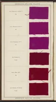 Picture 2 of 8 from Acid Colors on Piece Goods (1900), leaf 4