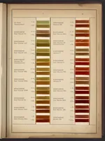 An illustration from Colors for Rayon Yarn (1926)