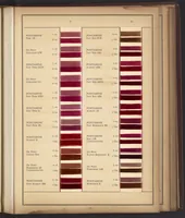 An illustration from Colors for Rayon Yarn (1926)