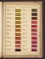 An illustration from Colors for Rayon Yarn (1926)
