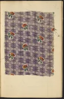 An illustration from Dyer's account book, Volume 2 (1855)