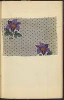 An illustration from Dyer's account book, Volume 2 (1855)