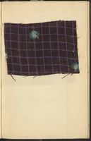 An illustration from Dyer's account book, Volume 2 (1855)