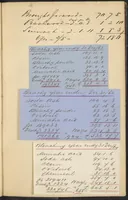 An illustration from Dyer's account book, Volume 2 (1855)