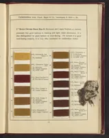 An illustration from Benzo Colours on Cotton Yarn, Part II (1921)