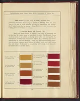 An illustration from Benzo Colours on Cotton Yarn, Part II (1921)