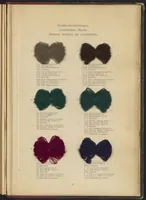 An illustration from Die Wollfarbstoffe des Jahres 1913 (1913)
