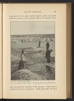 Picture 3 of 14 from Chemistry of Common Things (1914), leaf 19