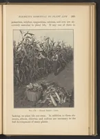 Picture 14 of 14 from Chemistry of Common Things (1914), leaf 89