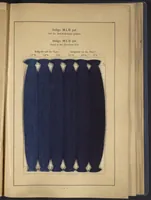 Picture 2 of 16 from Indigo MLB auf Baumwolle : Indigo MLB on Cotton (1880), leaf 15