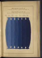 An illustration from Indigo MLB auf Baumwolle : Indigo MLB on Cotton (1880)