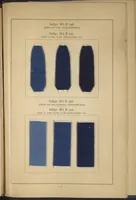 An illustration from Indigo MLB auf Baumwolle : Indigo MLB on Cotton (1880)