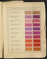 An illustration from Benzo Colours on Cotton Yarn, Part I (1921)