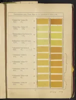 An illustration from Benzo Colours on Cotton Yarn, Part I (1921)