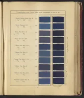 An illustration from Benzo Colours on Cotton Yarn, Part I (1921)