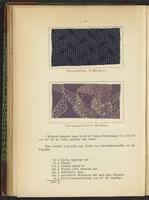 Picture 31 of 124 from Praktisches Handbuch des Zeugdrucks (1905), leaf 104