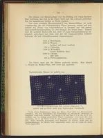 An illustration from Praktisches Handbuch des Zeugdrucks (1905)