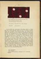 Picture 35 of 124 from Praktisches Handbuch des Zeugdrucks (1905), leaf 111