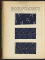 An illustration from Praktisches Handbuch des Zeugdrucks (1905)
