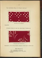 An illustration from Praktisches Handbuch des Zeugdrucks (1905)