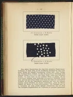 Picture 42 of 124 from Praktisches Handbuch des Zeugdrucks (1905), leaf 128