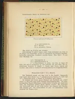 Picture 48 of 124 from Praktisches Handbuch des Zeugdrucks (1905), leaf 142