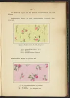 An illustration from Praktisches Handbuch des Zeugdrucks (1905)