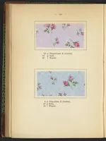 An illustration from Praktisches Handbuch des Zeugdrucks (1905)