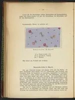 Picture 54 of 124 from Praktisches Handbuch des Zeugdrucks (1905), leaf 150