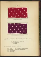 An illustration from Praktisches Handbuch des Zeugdrucks (1905)