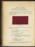 Picture 58 of 124 from Praktisches Handbuch des Zeugdrucks (1905), leaf 154