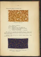 Picture 60 of 124 from Praktisches Handbuch des Zeugdrucks (1905), leaf 157