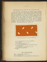 Picture 63 of 124 from Praktisches Handbuch des Zeugdrucks (1905), leaf 160