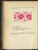 Picture 67 of 124 from Praktisches Handbuch des Zeugdrucks (1905), leaf 166